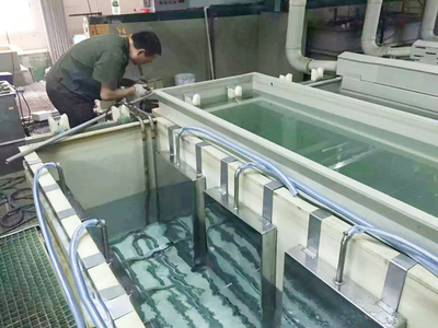 电镀前处理超声波振板